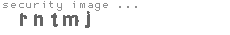 security image
