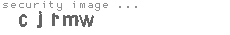 security image