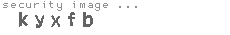 security image