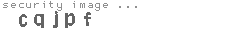 security image