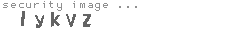 security image