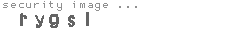 security image
