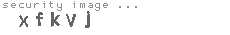 security image