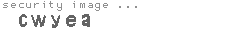 security image