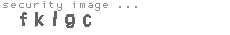 security image