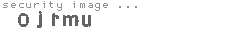 security image