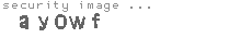 security image