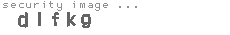 security image