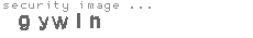 security image