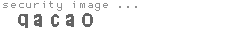 security image