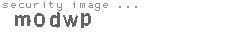 security image