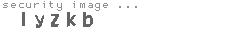 security image