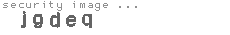 security image