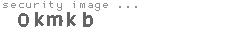 security image