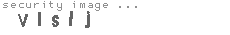 security image