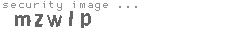 security image