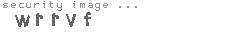 security image