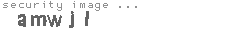 security image
