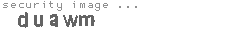 security image