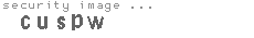security image