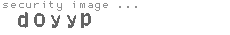 security image