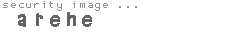 security image