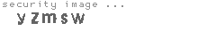 security image