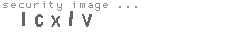 security image