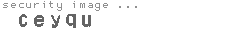 security image