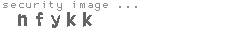 security image
