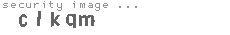 security image