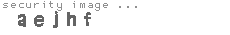 security image