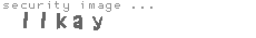 security image