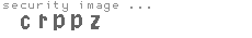 security image
