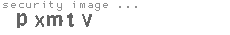 security image