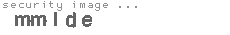 security image