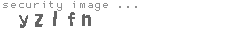 security image