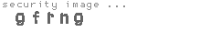 security image