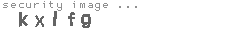 security image
