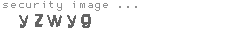 security image
