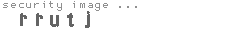 security image