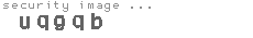 security image