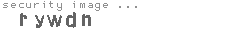 security image