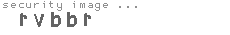 security image