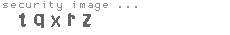 security image