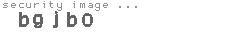 security image