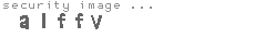security image
