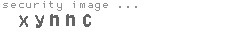 security image