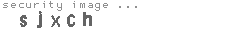 security image