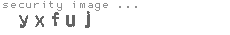 security image